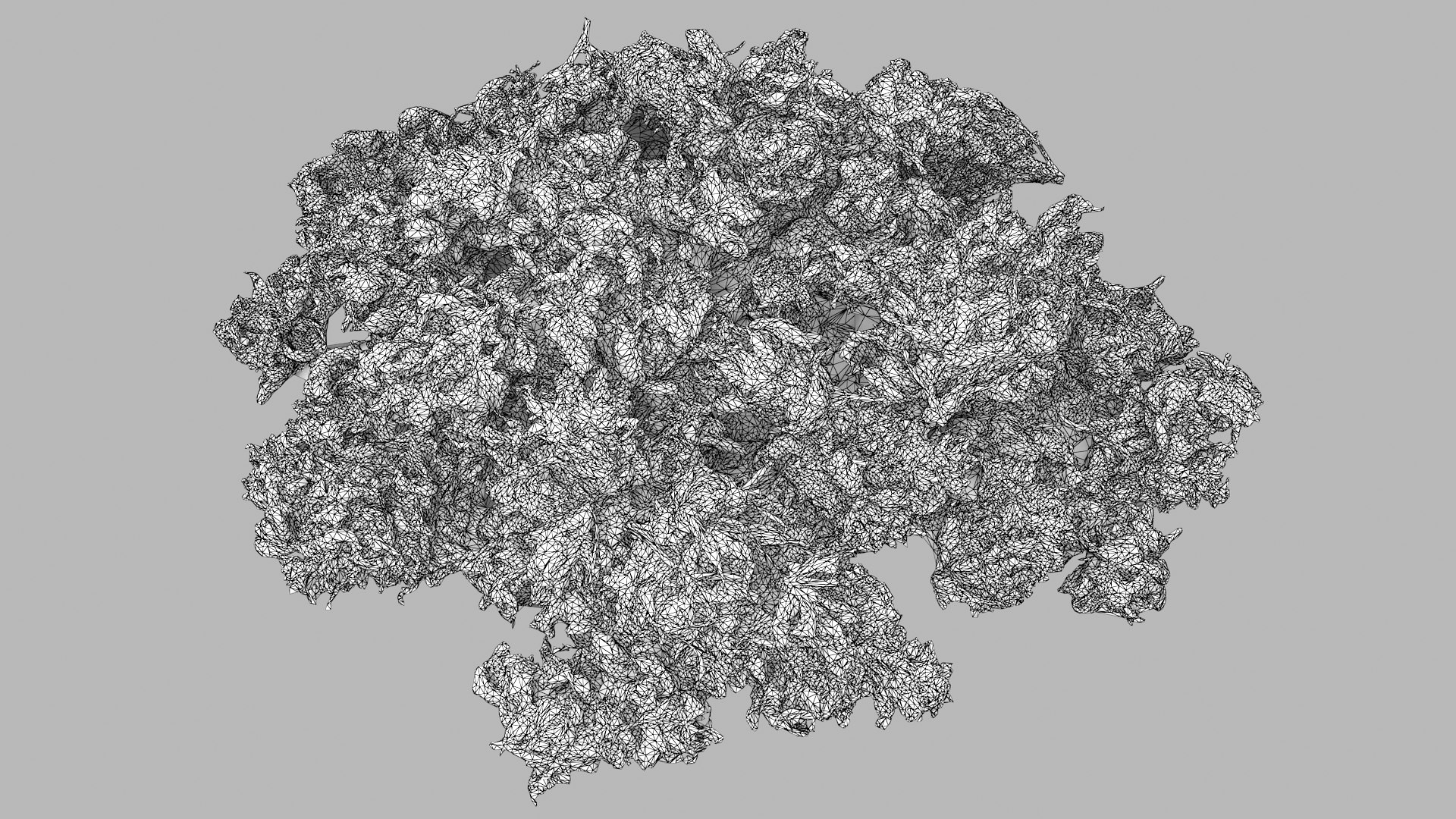 Cannabis Buds 02 3D model https://p.turbosquid.com/ts-thumb/RW/07sYVh/Dc/cannabispile01_r1w/png/1664134143/1920x1080/fit_q87/debdfe3571c4cdba987215256762f03b80409589/cannabispile01_r1w.jpg