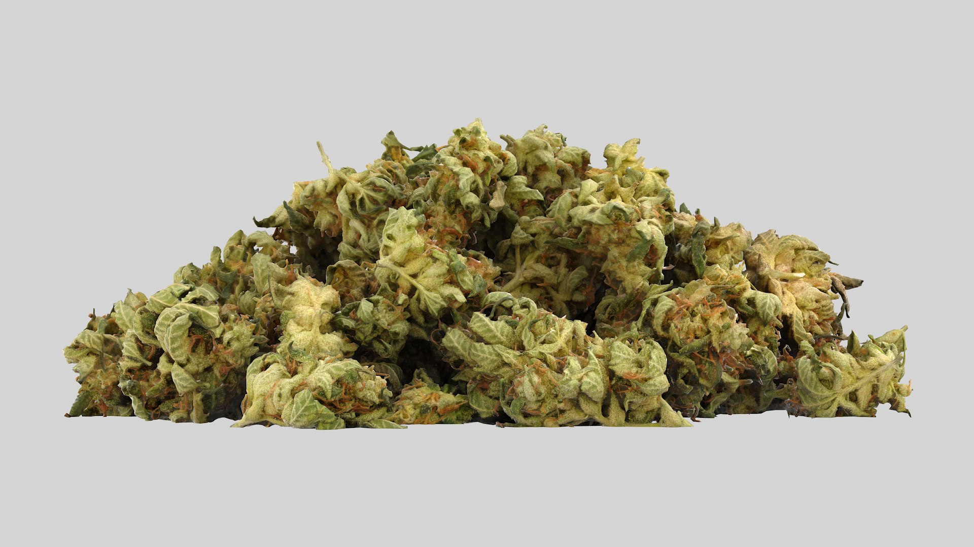 Cannabis Buds 02 3D model https://p.turbosquid.com/ts-thumb/RW/07sYVh/RG/cannabispile01_r3/png/1664134135/1920x1080/fit_q87/34424fd8d3ba90f6e2746324ca26b50bf9321d9d/cannabispile01_r3.jpg