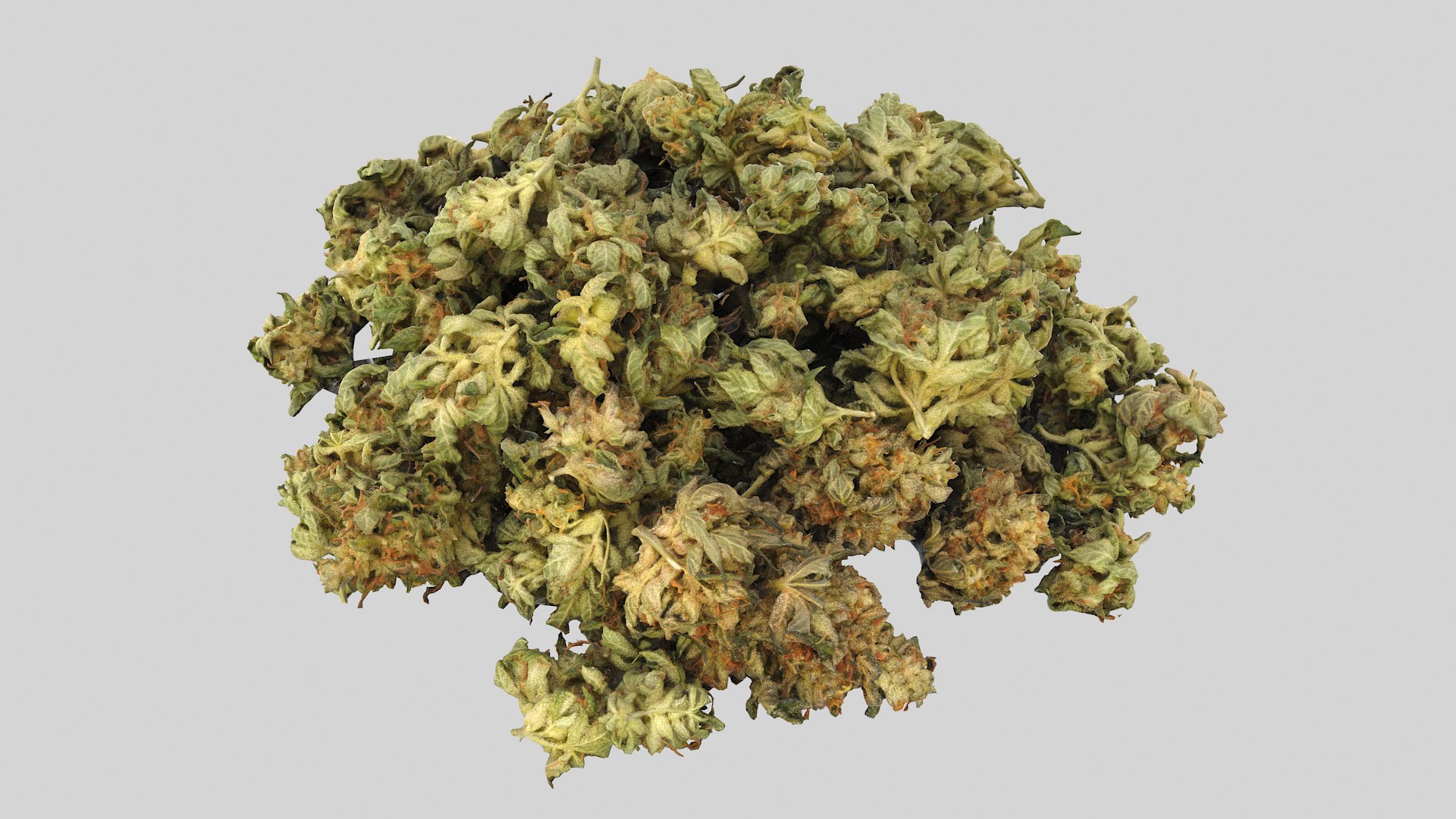 Cannabis Buds 02 3D model https://p.turbosquid.com/ts-thumb/RW/07sYVh/YV/cannabispile01_r1a/png/1664134133/1920x1080/fit_q87/7b4b004718360c39eda9161f1aeb63966d70c157/cannabispile01_r1a.jpg