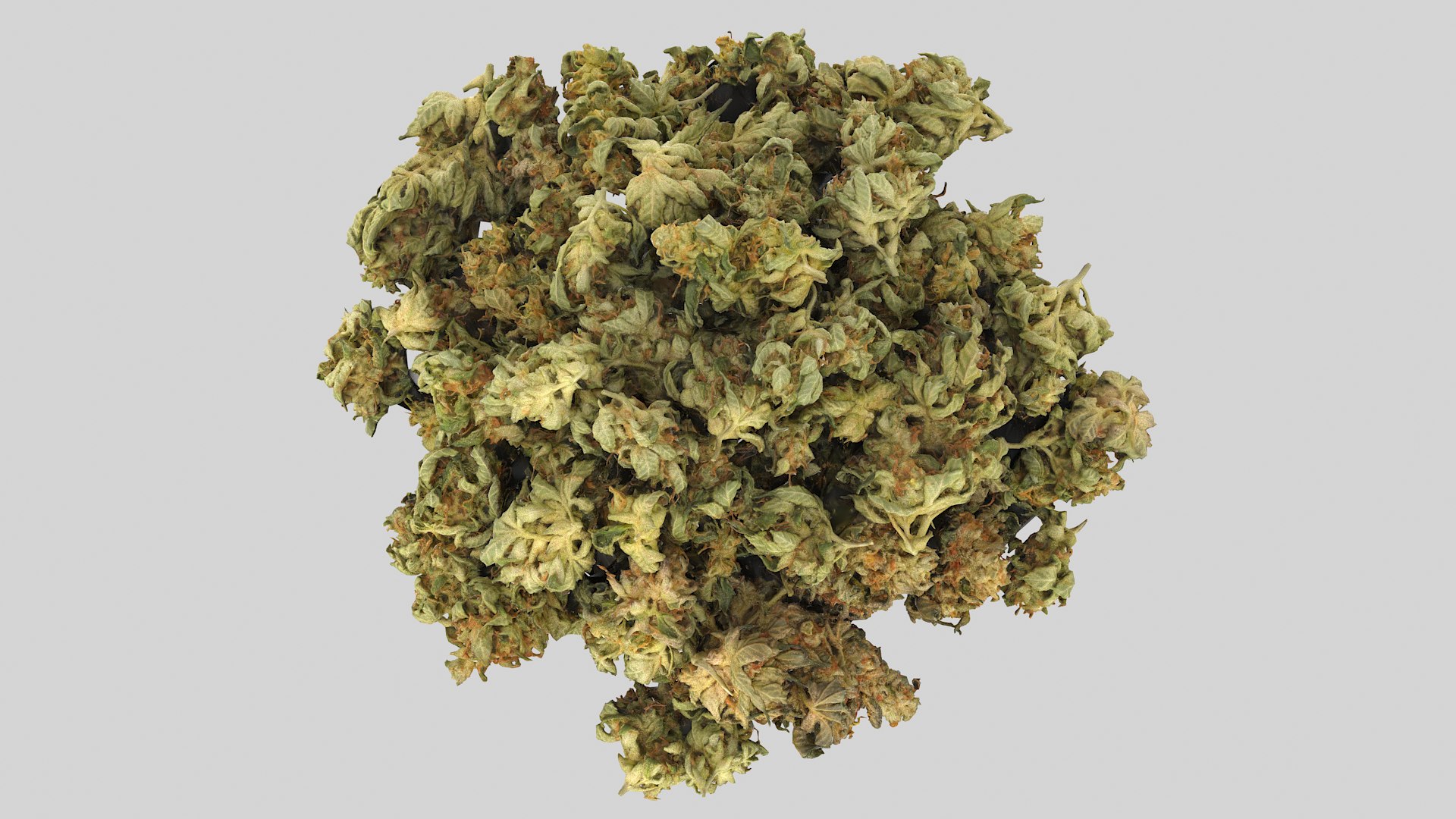 Cannabis Buds 02 3D model https://p.turbosquid.com/ts-thumb/RW/07sYVh/iT/cannabispile01_r2/png/1664134135/1920x1080/fit_q87/14122e9b642bc1309f581648c09e1637b69bf856/cannabispile01_r2.jpg