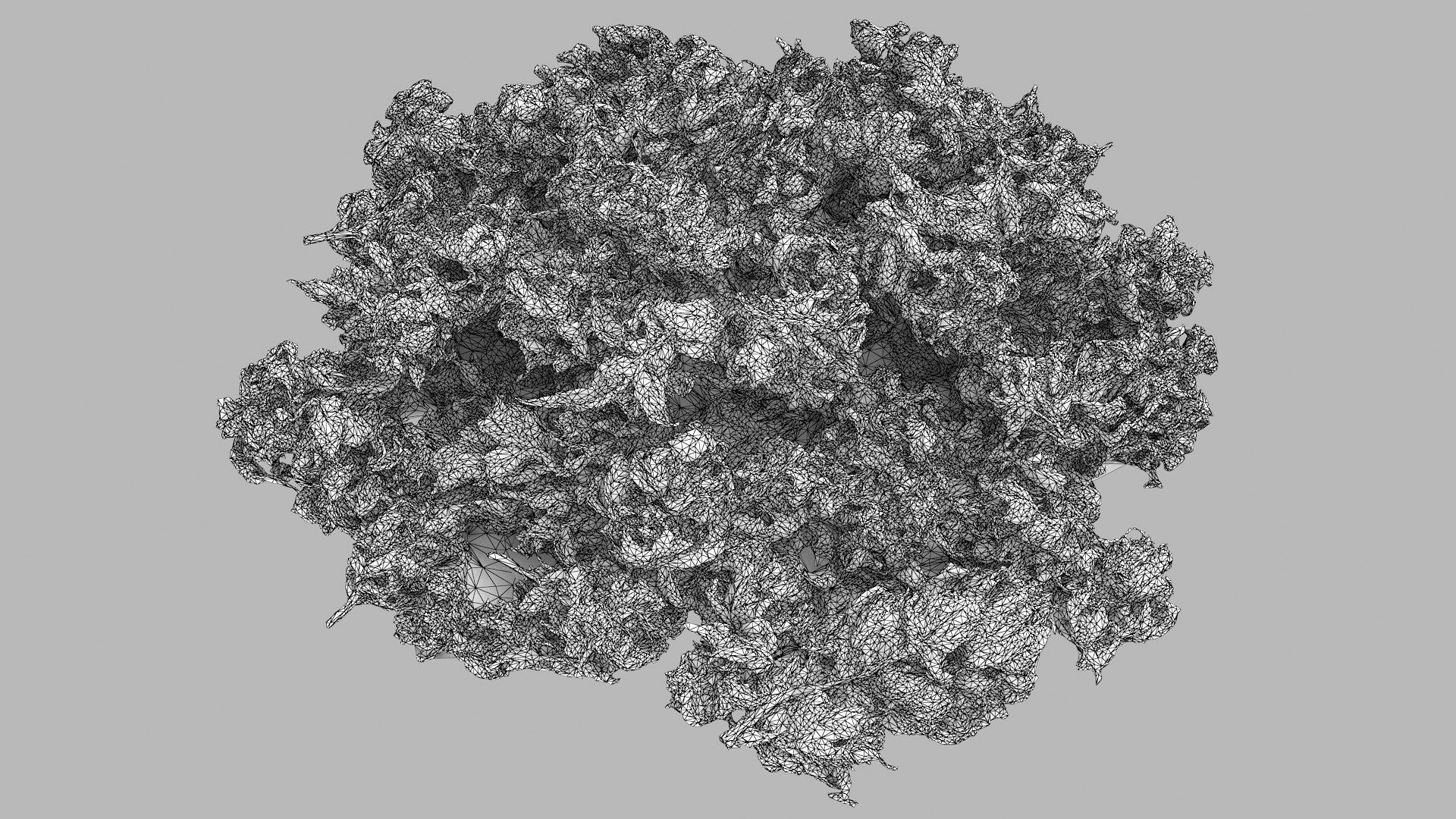 Cannabis Buds 02 3D model https://p.turbosquid.com/ts-thumb/RW/07sYVh/qD/cannabispile01_r6w/png/1664134147/1920x1080/fit_q87/68c6cd1cdc9ba1bd81446d976f16f97e179650f6/cannabispile01_r6w.jpg