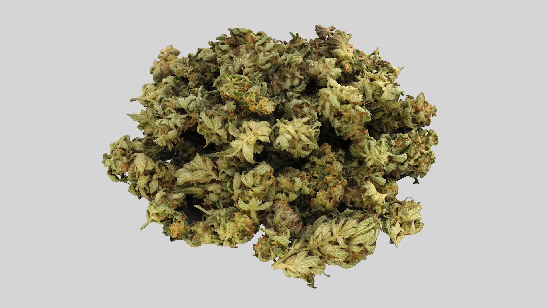 Cannabis Buds 02 3D model https://p.turbosquid.com/ts-thumb/RW/07sYVh/to/cannabispile01_r6/png/1664134144/1920x1080/fit_q87/5ecdfce119e48b7eda66233a0d48c3dbd48bb8b8/cannabispile01_r6.jpg