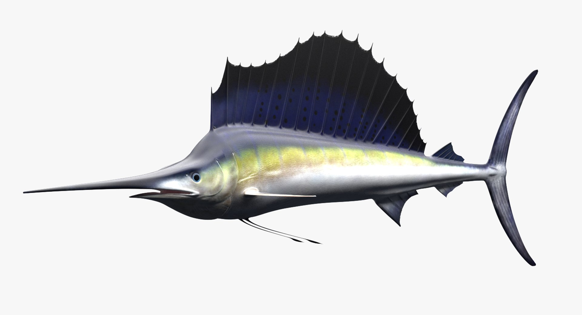 魚 模型 鱒 フィリピン