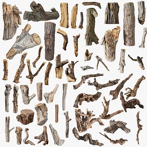 Ultimate 3D Scanned Wood and Bark Mega Collection 3D