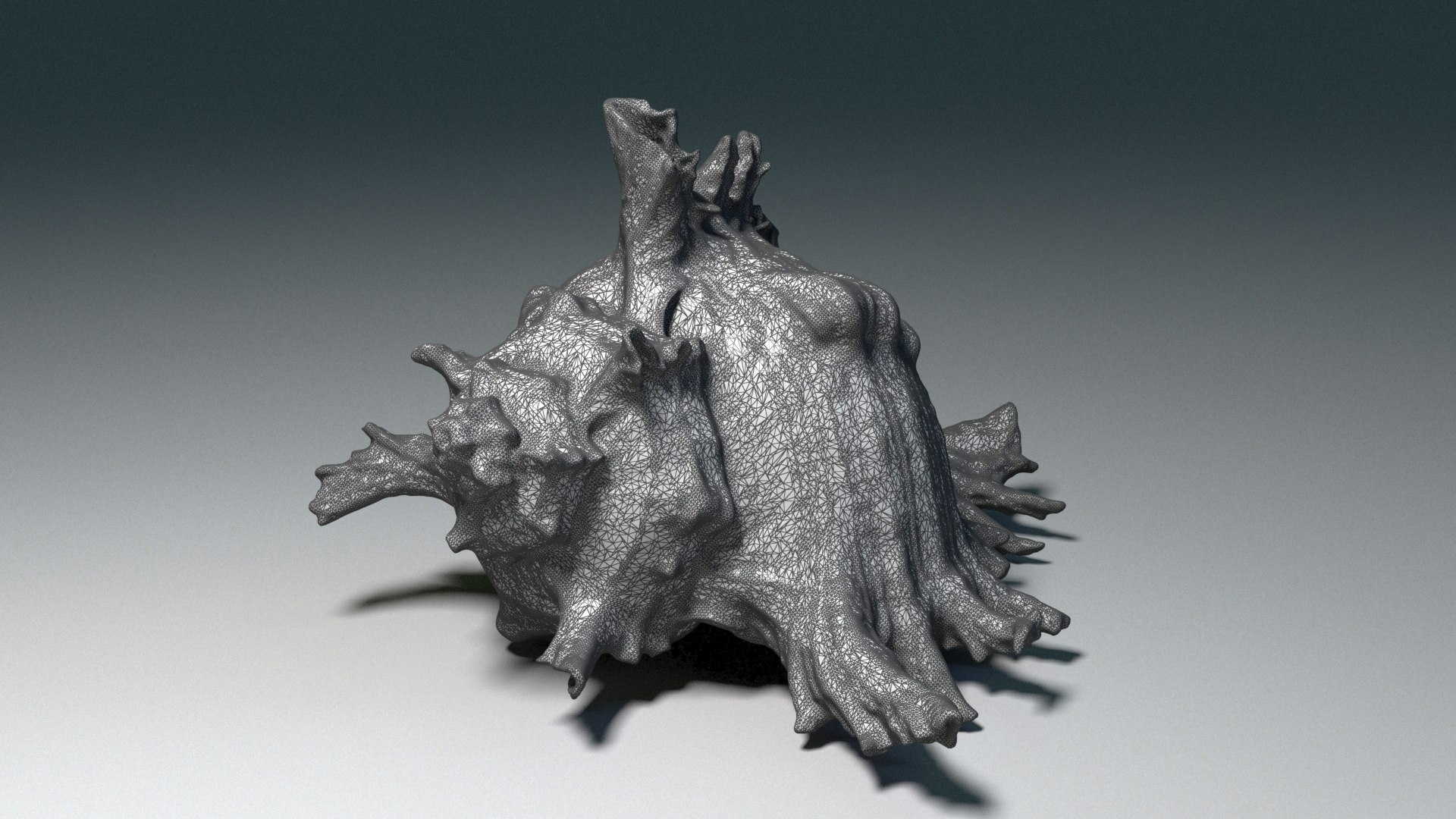 3D model Murex Ramosus Shell https://p.turbosquid.com/ts-thumb/RW/7mgnIP/Yc/07/jpg/1759861749/1920x1080/fit_q87/ed127d26cd2638bd38975cee329ad79ba360b01e/07.jpg