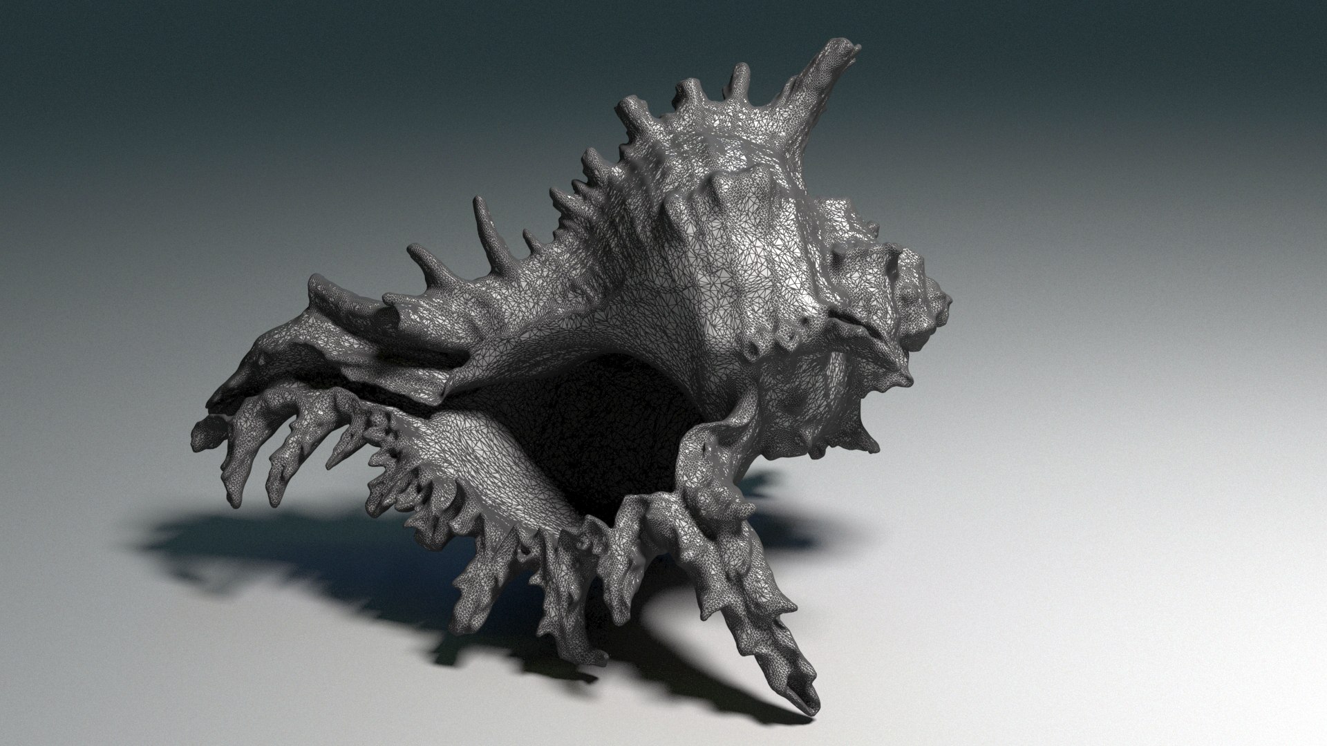 3D model Murex Ramosus Shell https://p.turbosquid.com/ts-thumb/RW/7mgnIP/wY/08/jpg/1759861749/1920x1080/fit_q87/35f518ad9ec07dc342317e8270fef96ef08ca96a/08.jpg