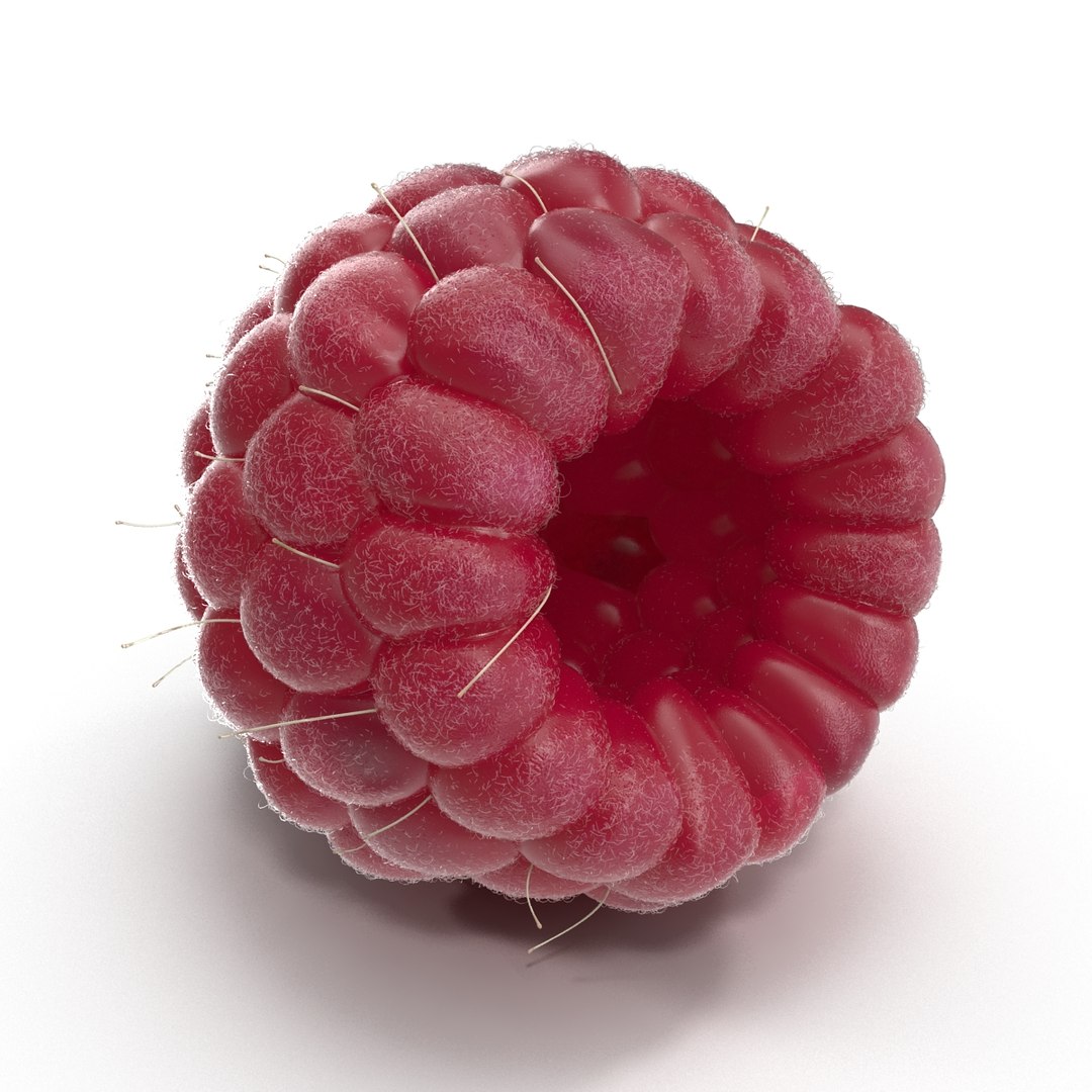 fresh raspberry 3d model https://p.turbosquid.com/ts-thumb/RW/9V6fNr/44Gaxqsq/raspberry_09/jpg/1417616679/1920x1080/fit_q87/20a8a2395897dd854b07f75e3c1079a66f716d0b/raspberry_09.jpg