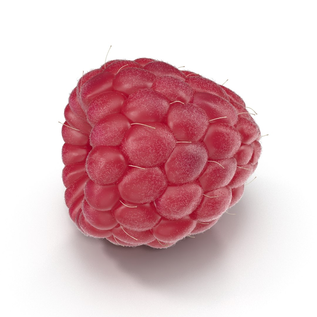 fresh raspberry 3d model https://p.turbosquid.com/ts-thumb/RW/9V6fNr/71XlES8A/raspberry_11/jpg/1417616679/1920x1080/fit_q87/bbd78b4107e8121cc191e6eca10808800e099c30/raspberry_11.jpg