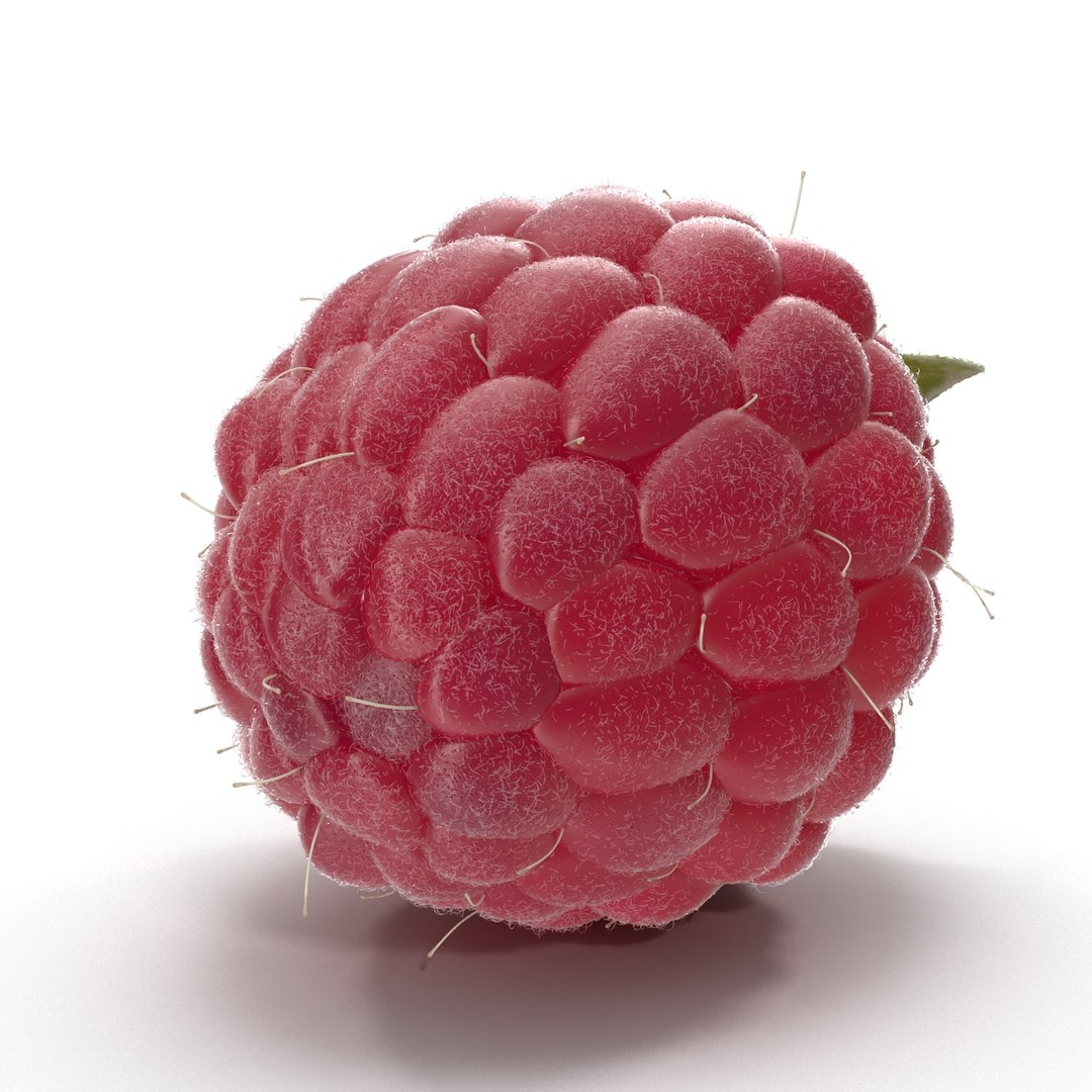 fresh raspberry 3d model https://p.turbosquid.com/ts-thumb/RW/9V6fNr/FQjLf4qY/raspberry_08/jpg/1417616679/1920x1080/fit_q87/e2d8ded147b6d3f845046830df257f03f11febba/raspberry_08.jpg