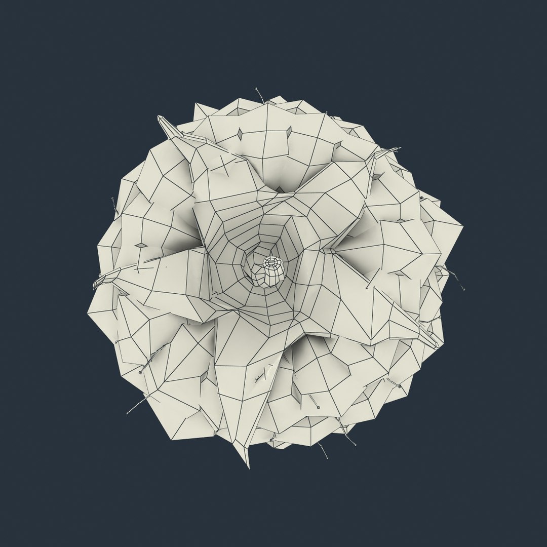 fresh raspberry 3d model https://p.turbosquid.com/ts-thumb/RW/9V6fNr/HURL0uHr/raspberry_13/jpg/1417616679/1920x1080/fit_q87/b2f3937b145c8ca0552363fb2da438cb1118035d/raspberry_13.jpg