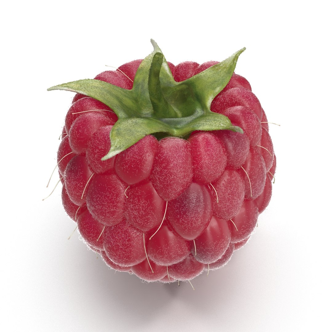 fresh raspberry 3d model https://p.turbosquid.com/ts-thumb/RW/9V6fNr/KC9BHJZ4/raspberry_03/jpg/1417616679/1920x1080/fit_q87/b41bc8f5128ce9ba78c351261ae653445763cc0f/raspberry_03.jpg