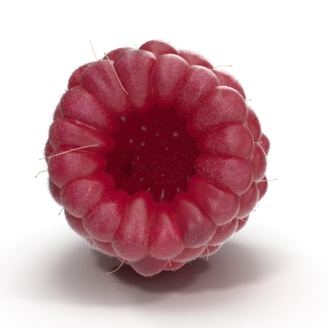 fresh raspberry 3d model https://p.turbosquid.com/ts-thumb/RW/9V6fNr/WIWGriML/raspberry_10/jpg/1417616679/1920x1080/fit_q87/0bca583cdd9c1d0a6cbb9b0e7e5795ec05e93141/raspberry_10.jpg