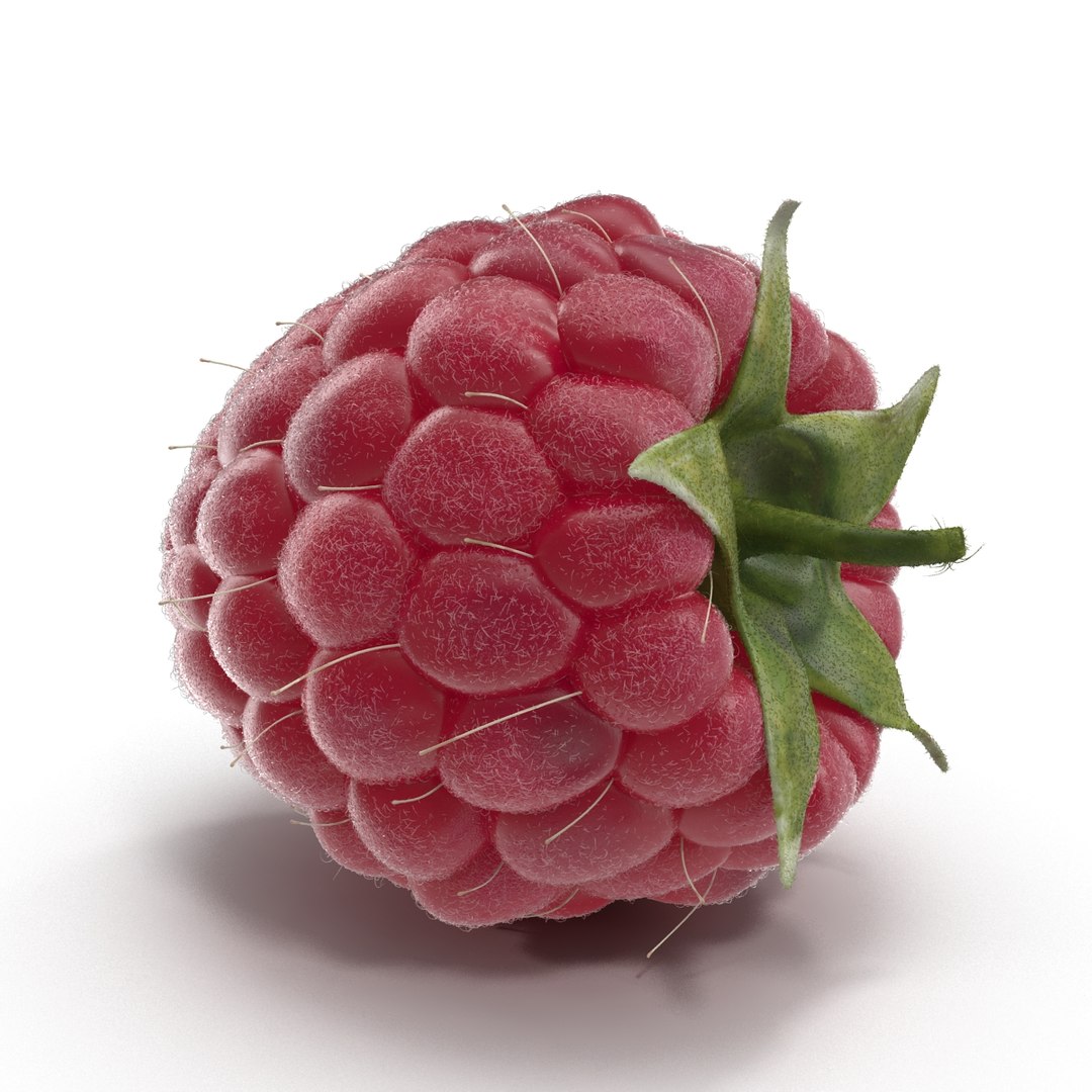 fresh raspberry 3d model https://p.turbosquid.com/ts-thumb/RW/9V6fNr/x1eV4V2G/raspberry_07/jpg/1417616679/1920x1080/fit_q87/ba07735ab46382a683d31400b90a58e0d55a4629/raspberry_07.jpg