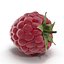 fresh raspberry 3d model