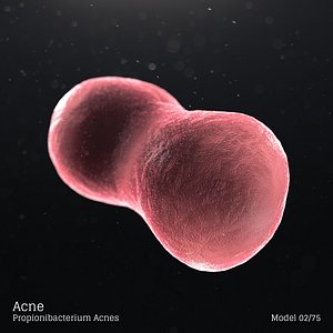 microbes bacteria cells 3D model