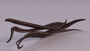 Vanilla spice pod realistic