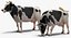 Vaca animada comiendo aparejada para Cinema 4D