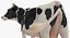 Vaca animada comiendo aparejada para Cinema 4D