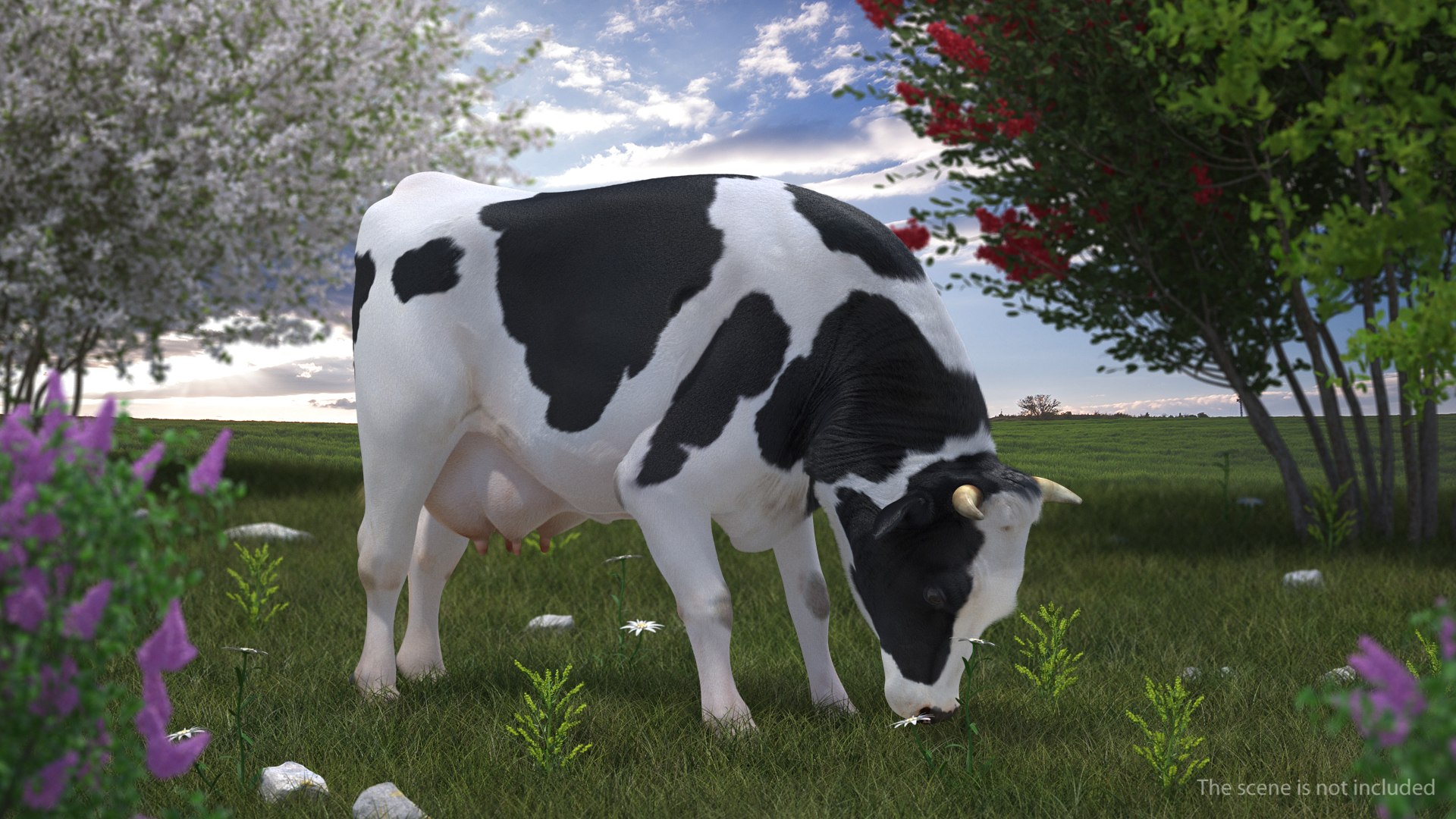 eating cow animal rigged 3D model https://p.turbosquid.com/ts-thumb/RW/MoGIrL/SJyko9u7/animatedcoweatingriggedmb3dmodel002/jpg/1561055605/1920x1080/fit_q87/0a27177cd41b3eab822e9fdfa0b626db504646ed/animatedcoweatingriggedmb3dmodel002.jpg