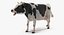 Vaca animada comiendo aparejada para Cinema 4D
