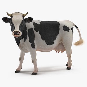 eating cow animal rigged 3D model
