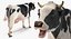 Vaca animada comiendo aparejada para Cinema 4D