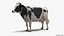 Vaca animada comiendo aparejada para Cinema 4D