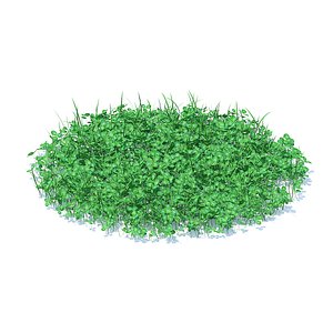 3D shaped grass clover