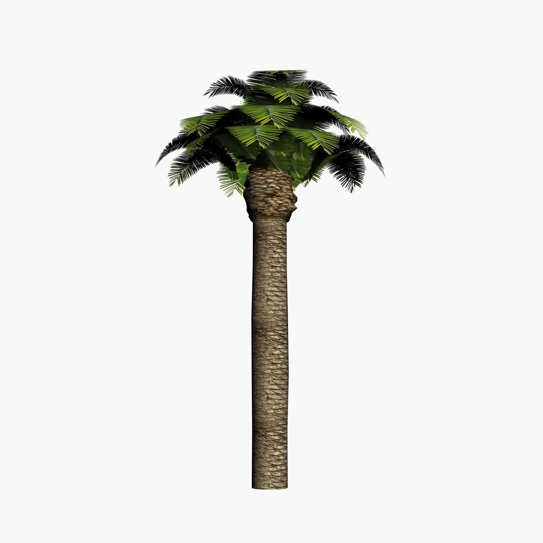 3d Max Palm Tree