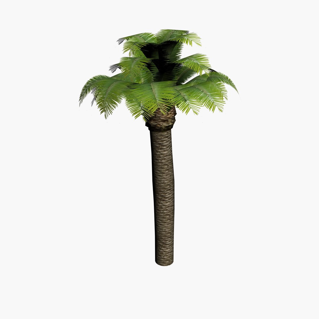 3d Max Palm Tree