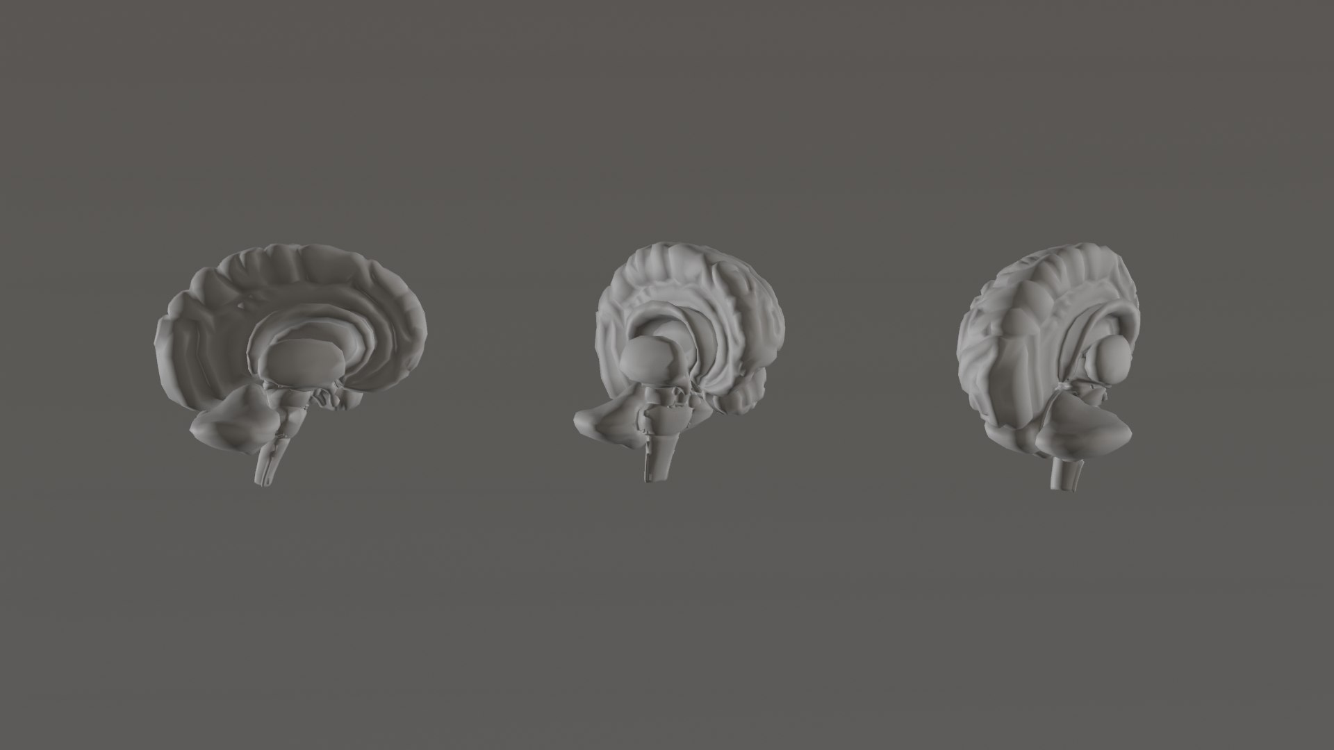 Human Anatomy 3D Model - TurboSquid 2322598