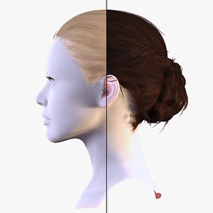 3D Classic Tied Bun - Realistic 3D Hair for Characters