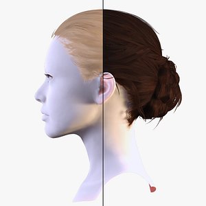 Classic Tied Bun - Realistic 3D Hair for Characters