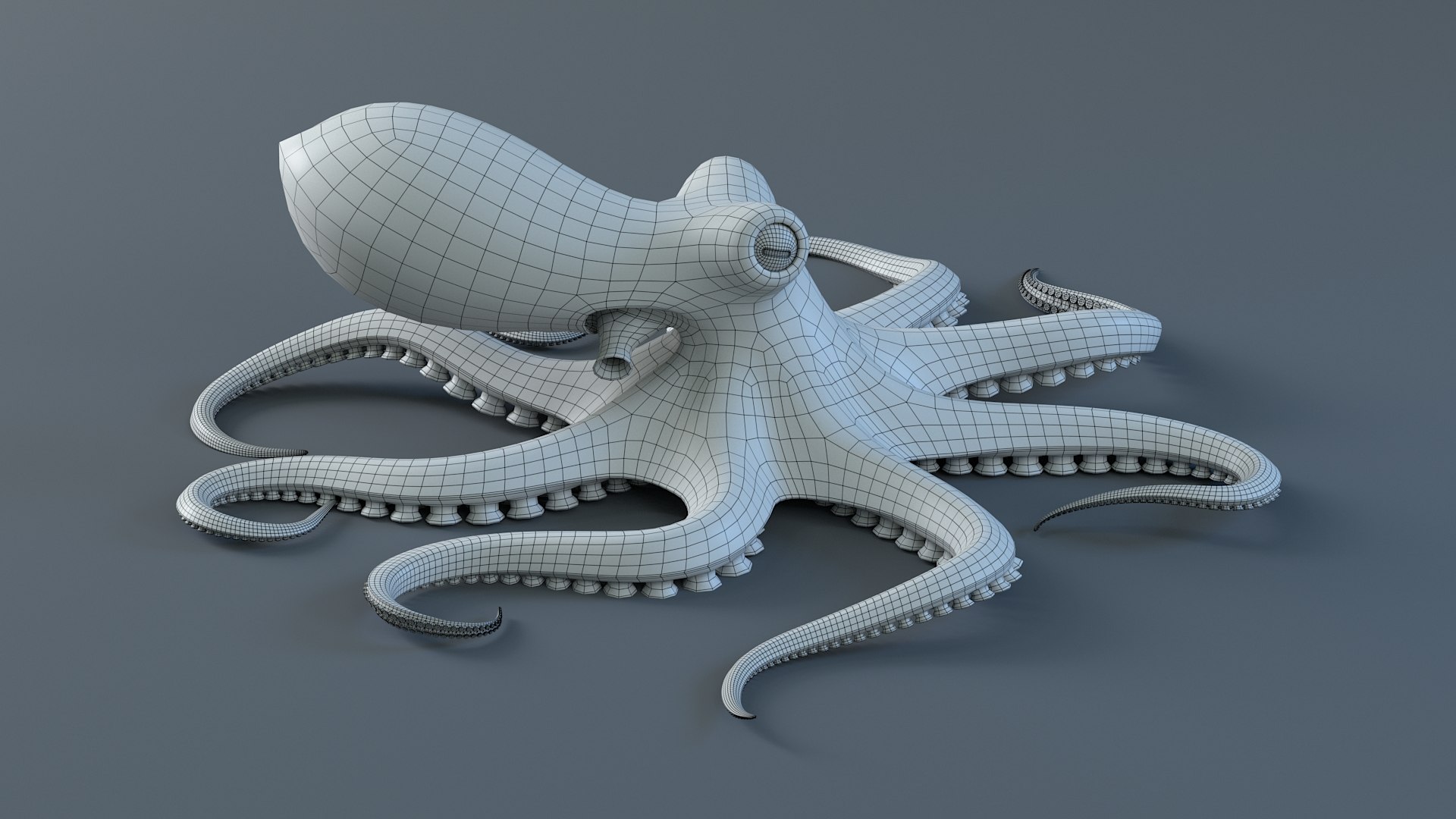 3D Octopus Pro Rigged https://p.turbosquid.com/ts-thumb/RW/bpoI2v/5t/octopus_rigged_25/jpg/1764326844/1920x1080/fit_q87/b82b60048616e460fbc6fa932d1e263755938f73/octopus_rigged_25.jpg