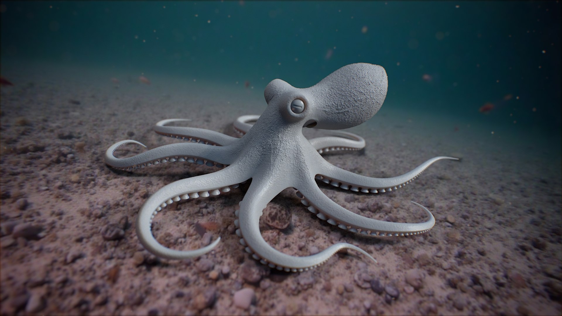 3D Octopus Pro Rigged https://p.turbosquid.com/ts-thumb/RW/bpoI2v/RM/octopus_rigged_on_bg_01_clay/jpg/1764326508/1920x1080/fit_q87/c7a317b70350790c05d86c27e5535188b472b6af/octopus_rigged_on_bg_01_clay.jpg