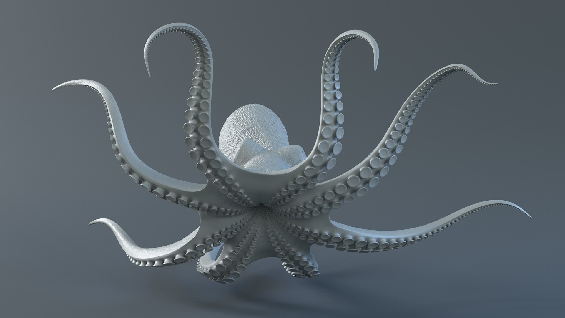 3D Octopus Pro Rigged https://p.turbosquid.com/ts-thumb/RW/bpoI2v/pm/octopus_rigged_14/jpg/1764326832/1920x1080/fit_q87/341fc0650fdead0bc6e1dad32013952d49c54810/octopus_rigged_14.jpg