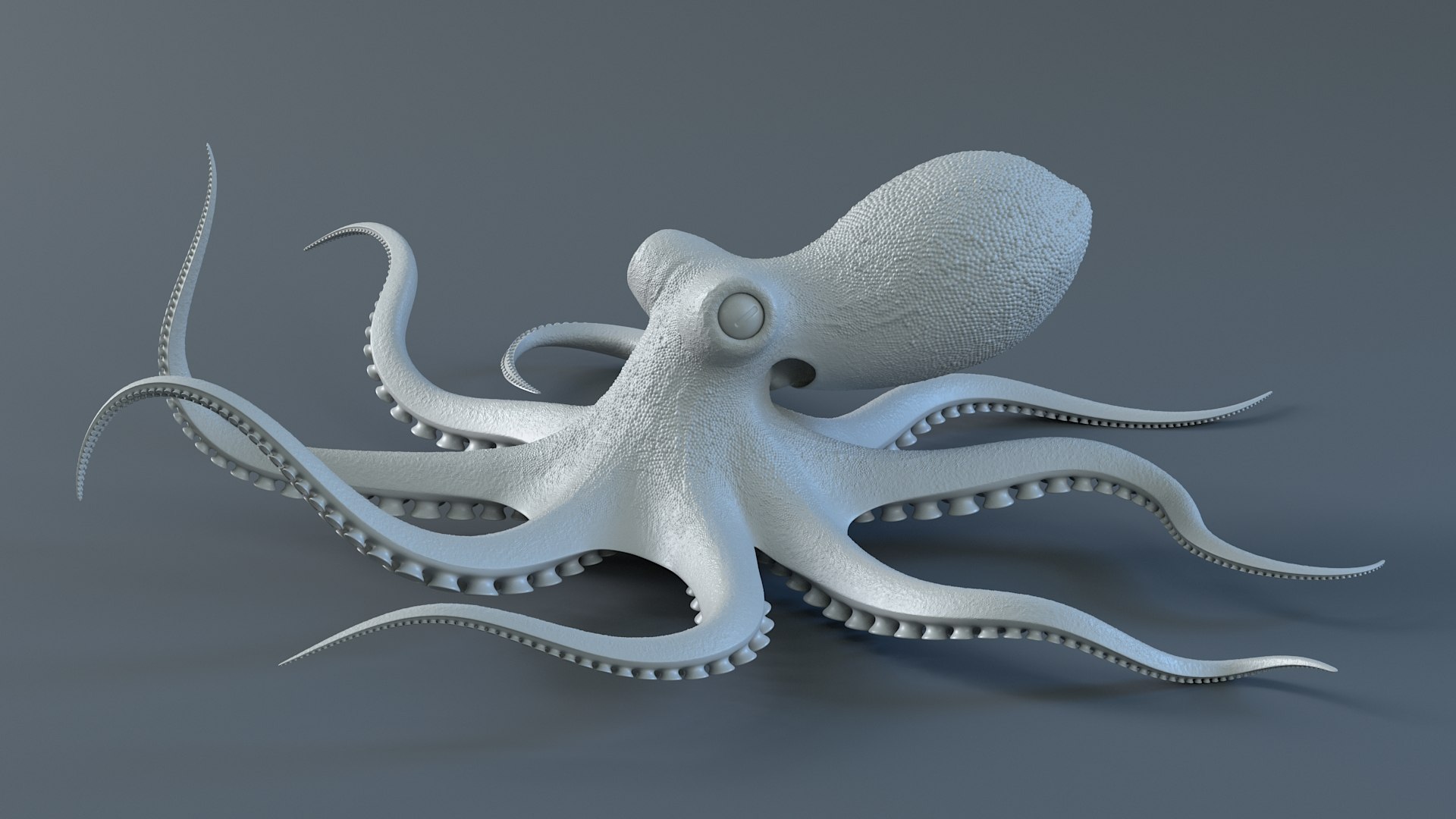 3D Octopus Pro Rigged https://p.turbosquid.com/ts-thumb/RW/bpoI2v/tW/octopus_rigged_15/jpg/1764326834/1920x1080/fit_q87/d790b8a9885aa52e27f506611f766b676af1185f/octopus_rigged_15.jpg