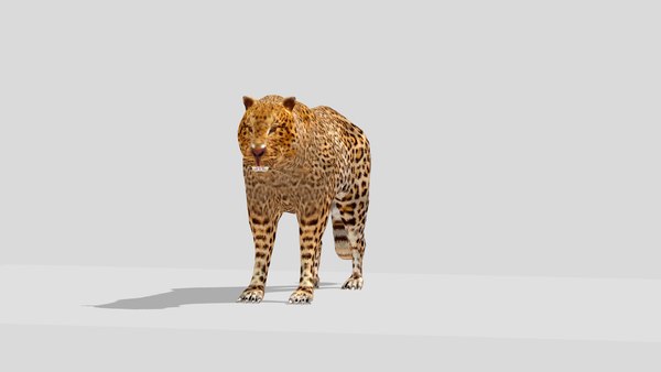 LEOPARD 3D - TurboSquid 1758554