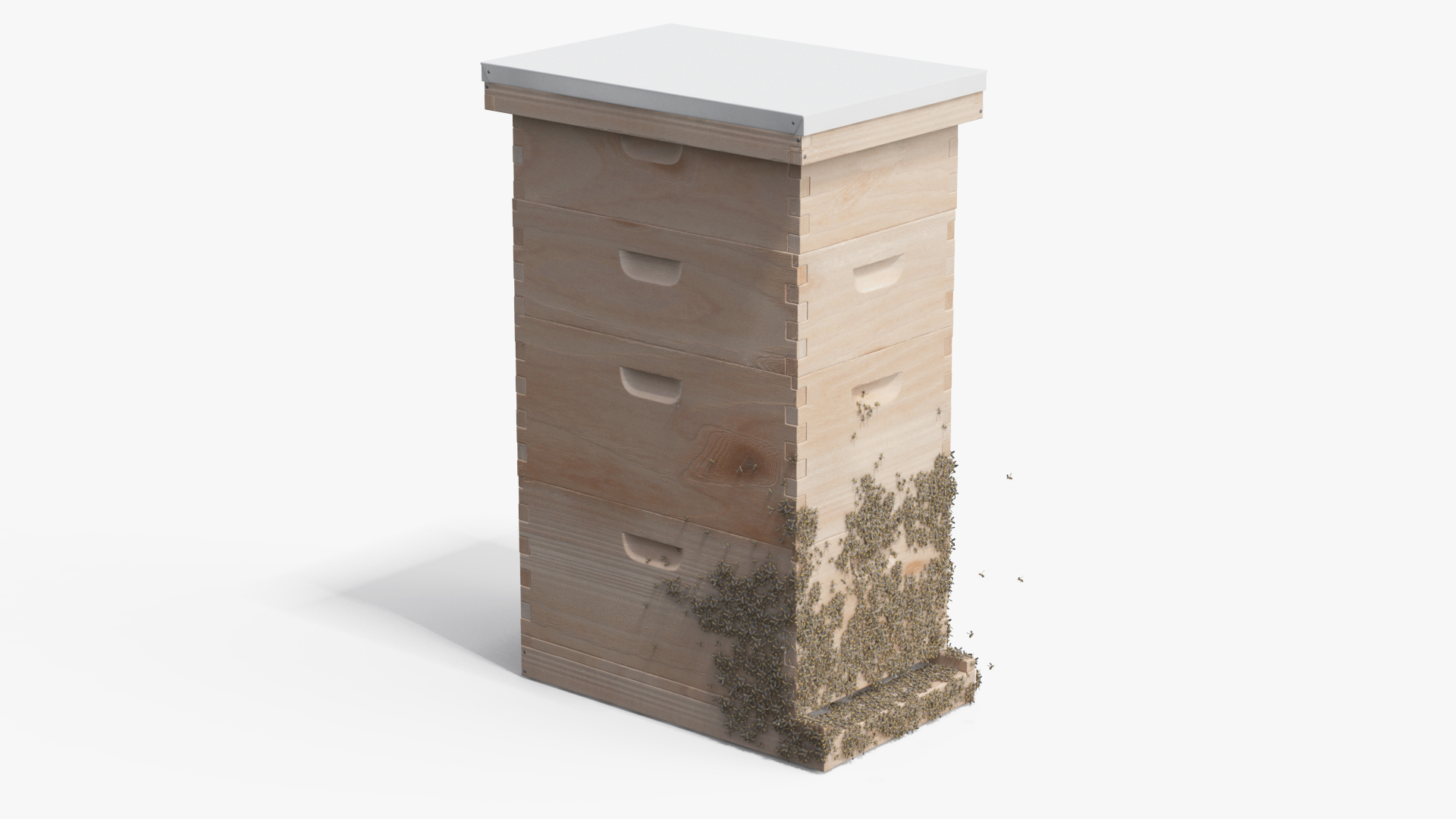 wooden beehive brood box 3D model https://p.turbosquid.com/ts-thumb/RW/h33VcP/1WBVCD7t/wooden_beehive_brood_box_with_bees_360/jpg/1577360454/1920x1080/turn_fit_q99/7f336fe7e8ffd632b881fe5a50828f85aa7d87fe/wooden_beehive_brood_box_with_bees_360-1.jpg