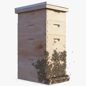 Wooden Beehive Brood Box with Bees