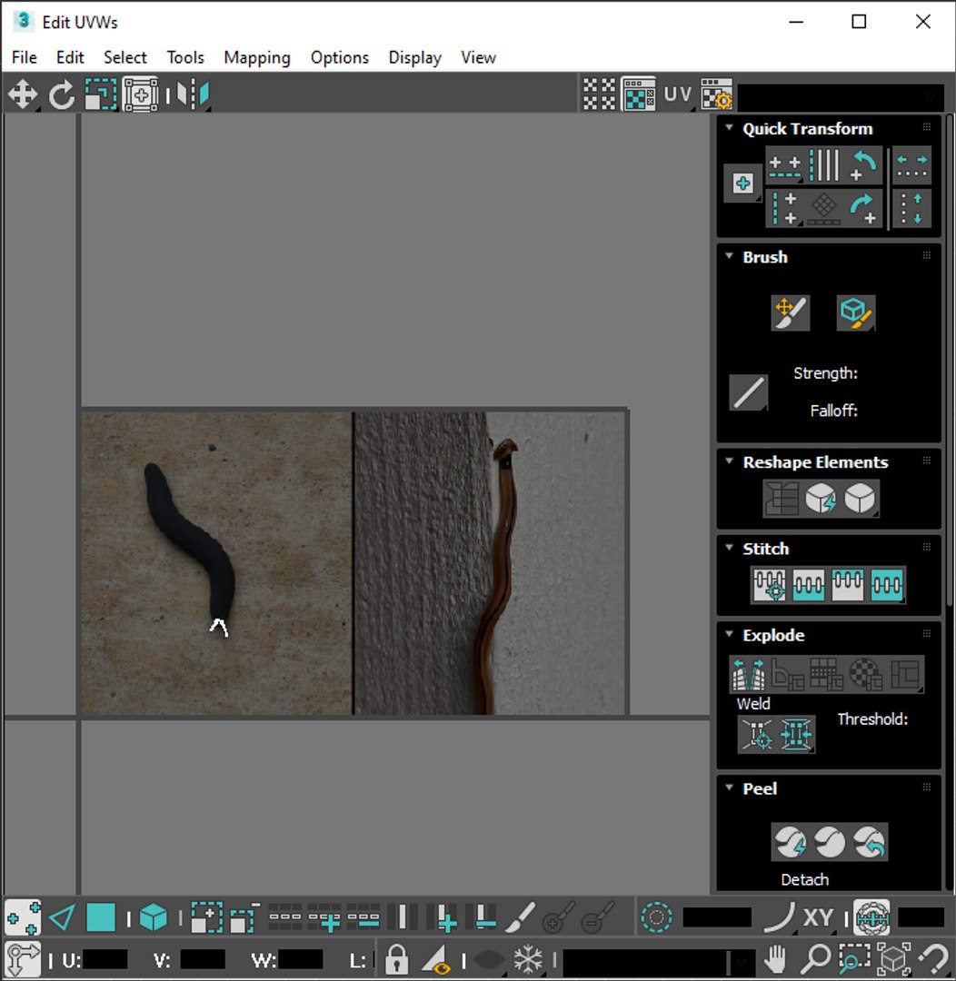 Flatworm 3D model https://p.turbosquid.com/ts-thumb/RW/mGtnDw/5e/screenshot20221123180233/png/1723965613/1920x1080/fit_q87/c59012d1f561cb049e5529792d0569c273e9d2a0/screenshot20221123180233.jpg