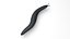 Flatworm 3D model