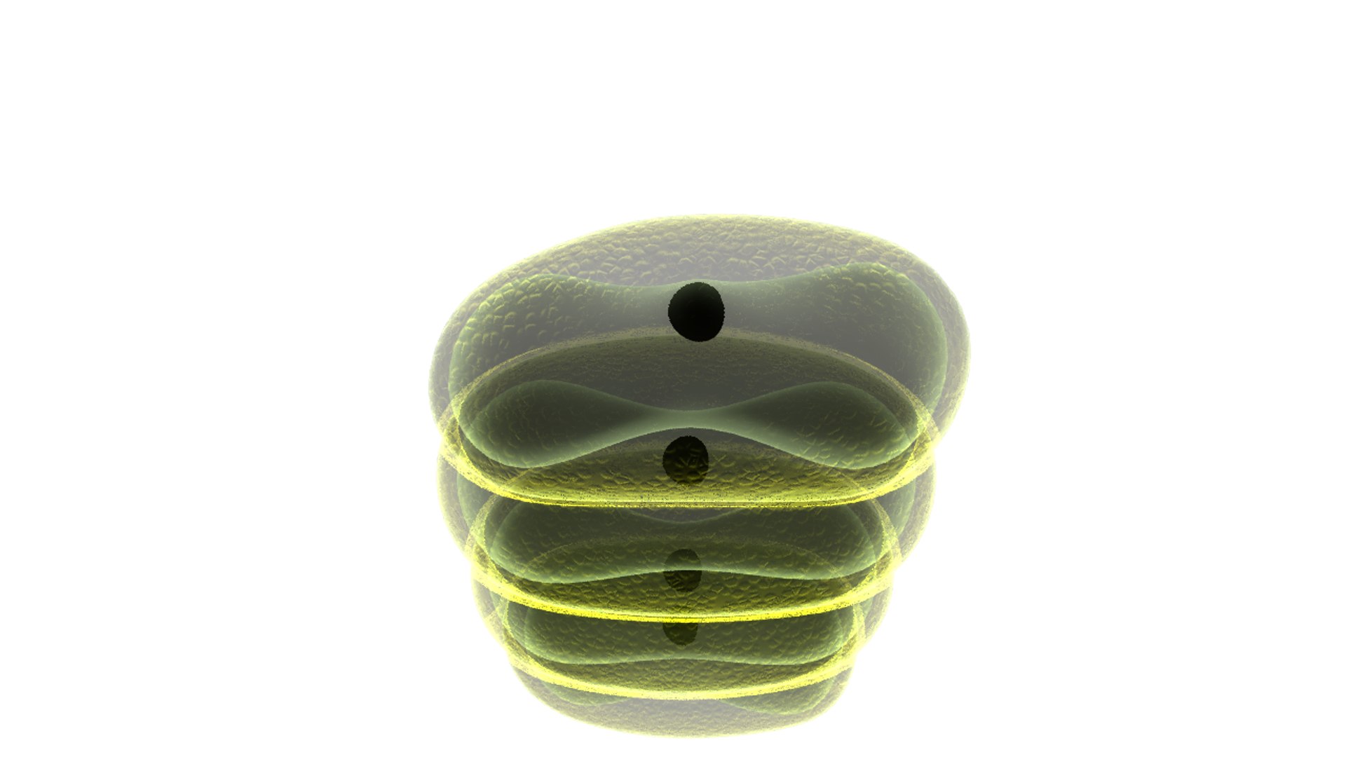 scenedesmus genus algae 3d model https://p.turbosquid.com/ts-thumb/RW/z8mRv3/NwfxqwRn/scenedesmus_04/png/1414574752/1920x1080/fit_q87/80277286bc235b4d333f1f2eb1cba13bfae042e0/scenedesmus_04.jpg