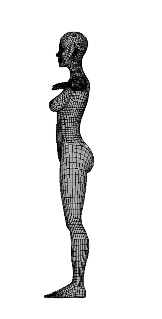 3D Model Female Human Base - TurboSquid 1320162