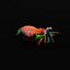 Mantis Shrimp 3D