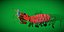 Mantis Shrimp 3D