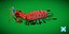 Mantis Shrimp 3D