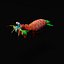 Mantis Shrimp 3D