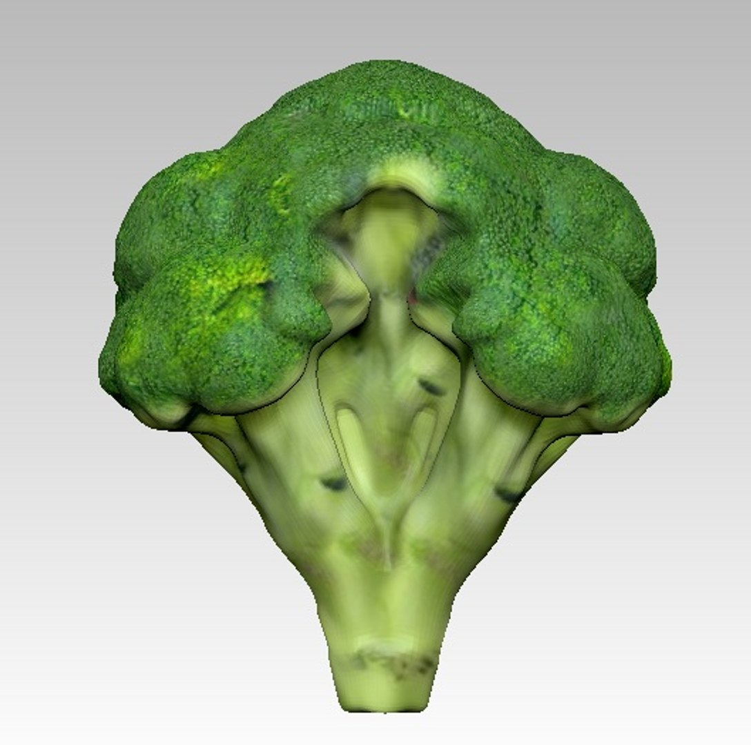 Realistic Broccoli 3d Model 6053