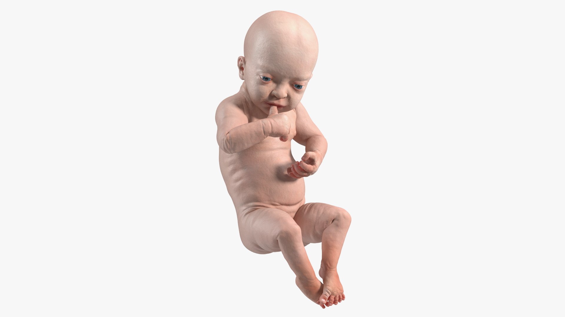 Baby Boy at 8 Month Rigged 3D model preview